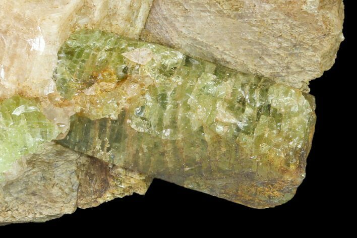 Yellow-Green Fluorapatite Crystals in Calcite - Ontario, Canada #137116